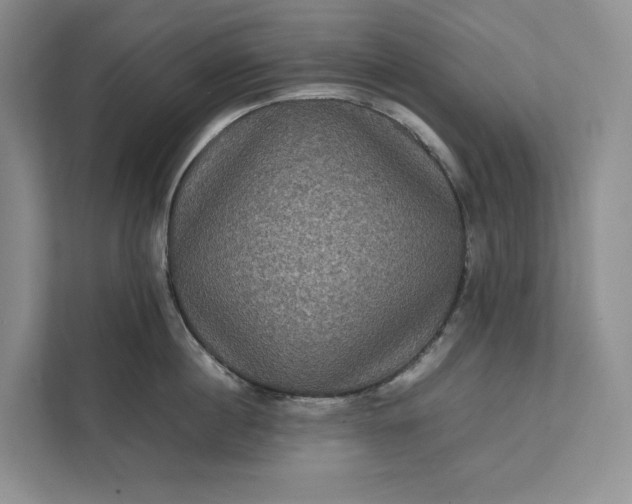 X0000111810860200908061114