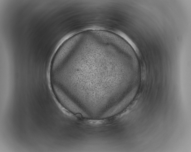 X0000111810861200908061114