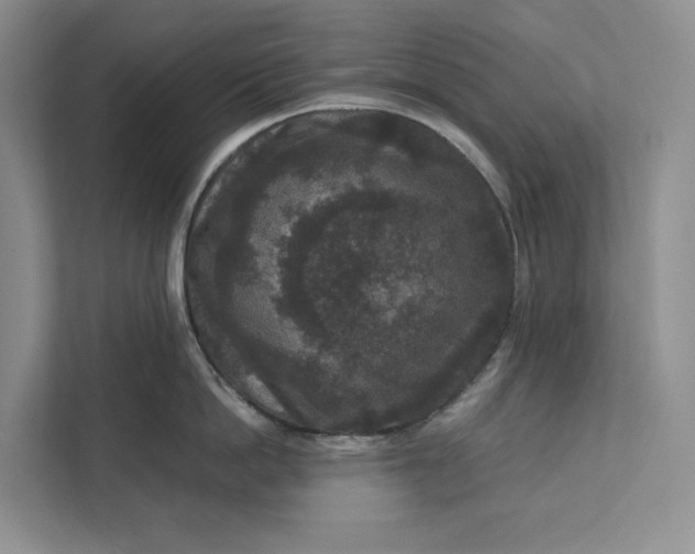 X0000111810862200908061114