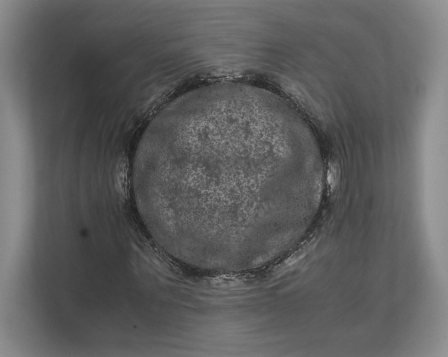 X0000111810867200908061113