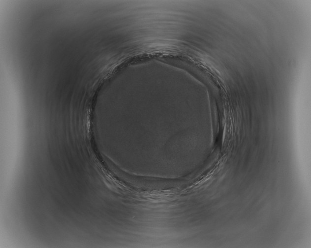 X0000111810868200908061113