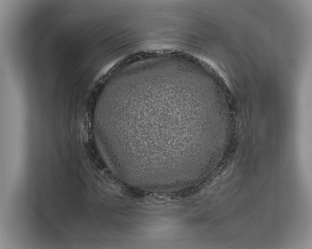 X0000111810871200908061113