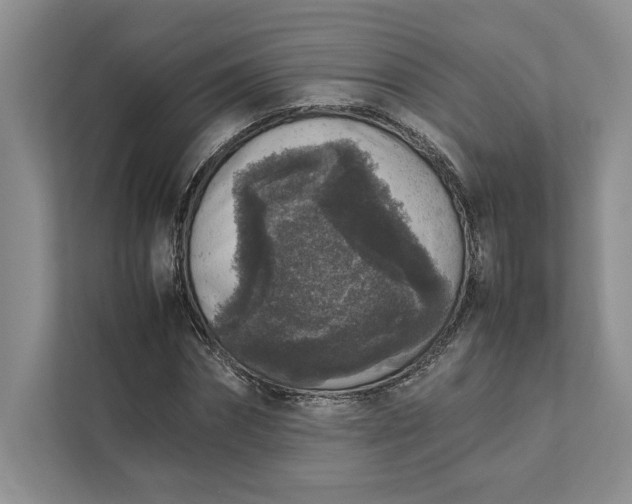 X0000111810874200908061113