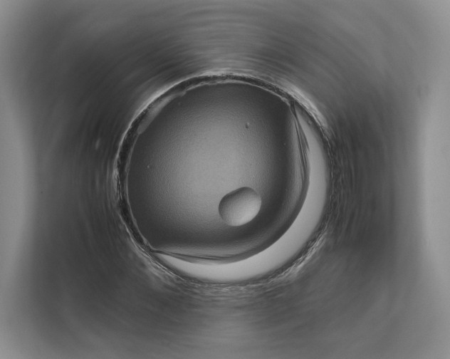 X0000111810876200908061113