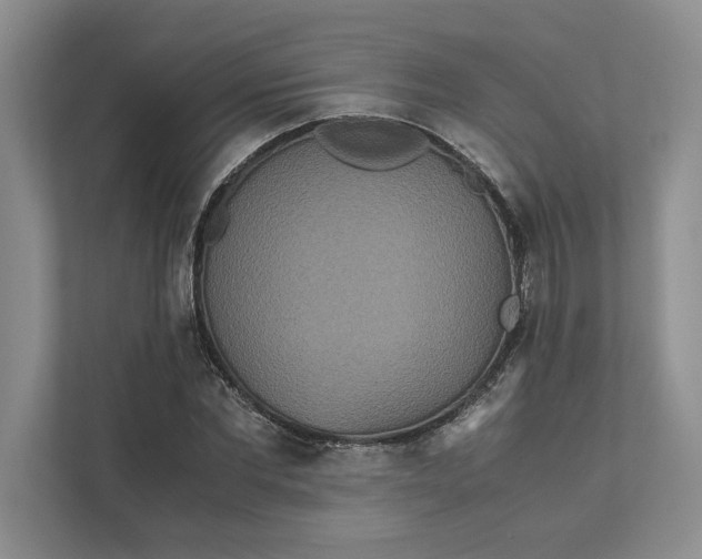X0000111810877200908061113