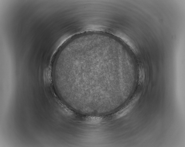 X0000111810878200908061113