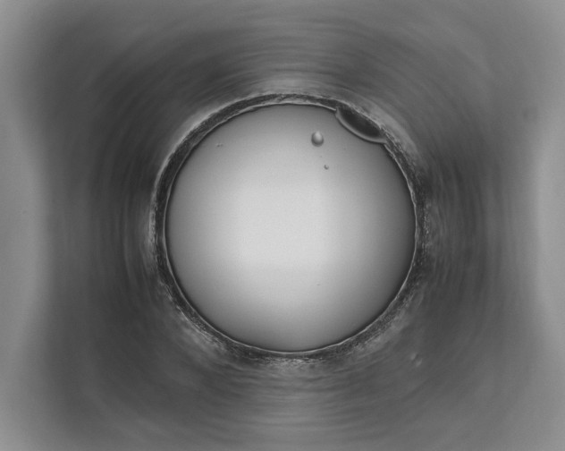 X0000111810880200908061113