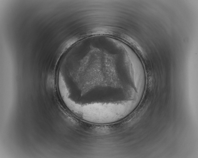 X0000111810882200908061113