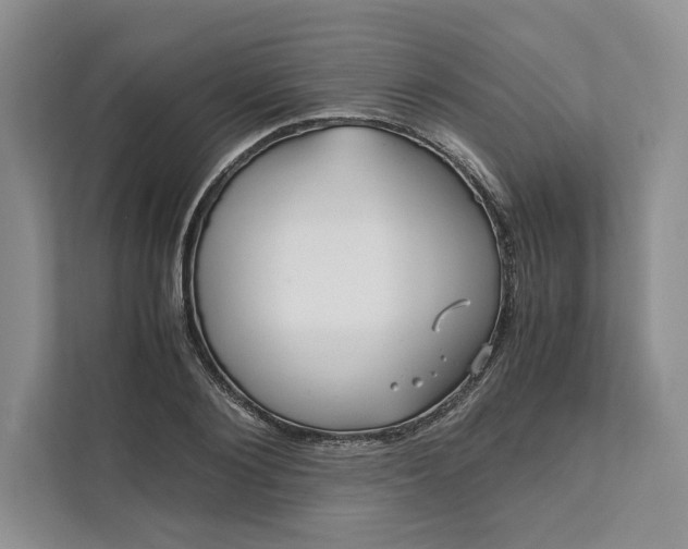 X0000111810884200908061113