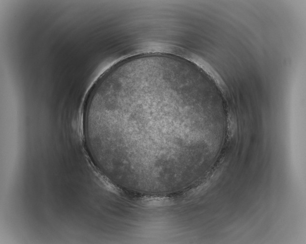 X0000111810886200908061113
