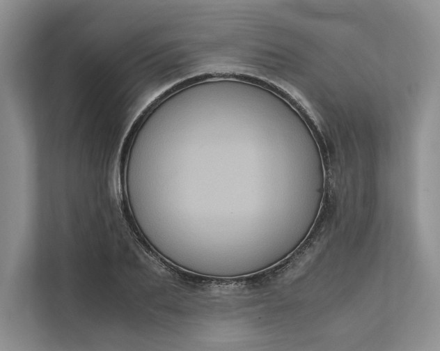 X0000111810887200908061113
