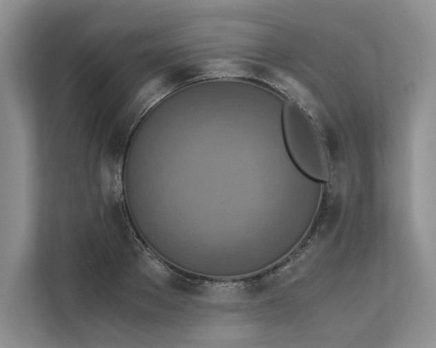 X0000111810889200908061113