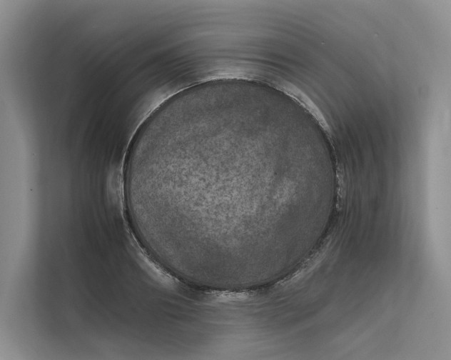 X0000111810890200908061113
