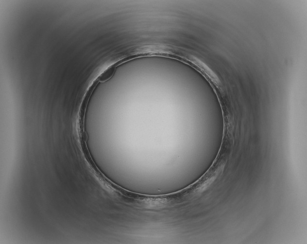 X0000111810893200908061113