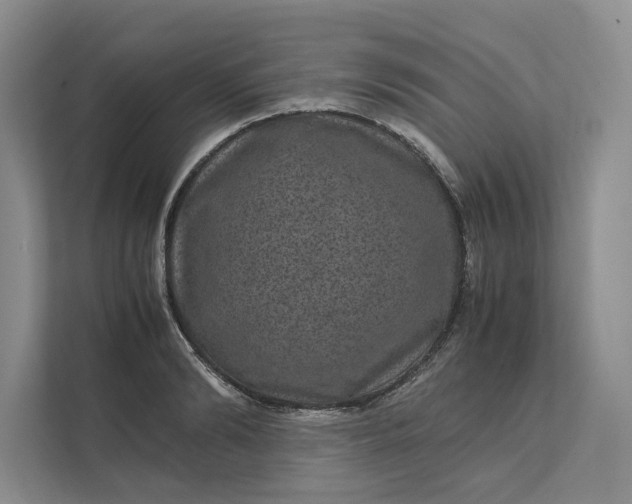 X0000111810894200908061113