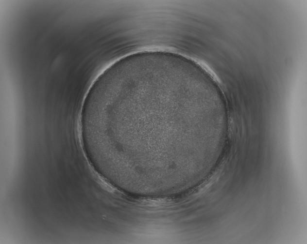 X0000111810895200908061113