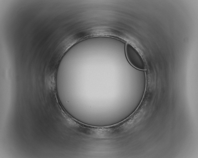 X0000111810897200908061113