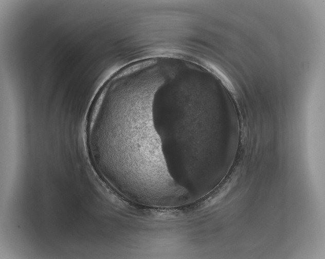X0000111810899200908061113