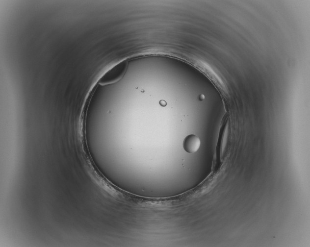 X0000111810900200908061113
