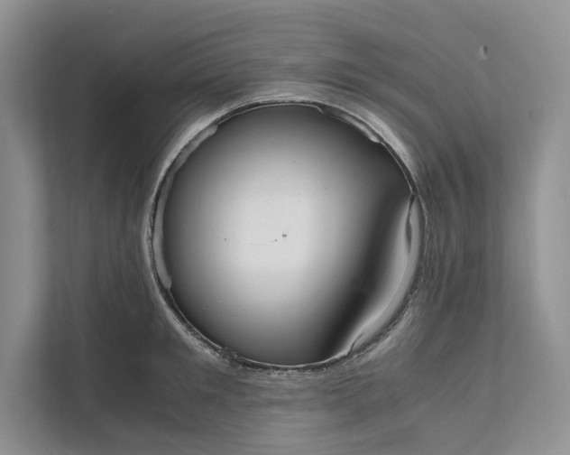 X0000111810901200908061113