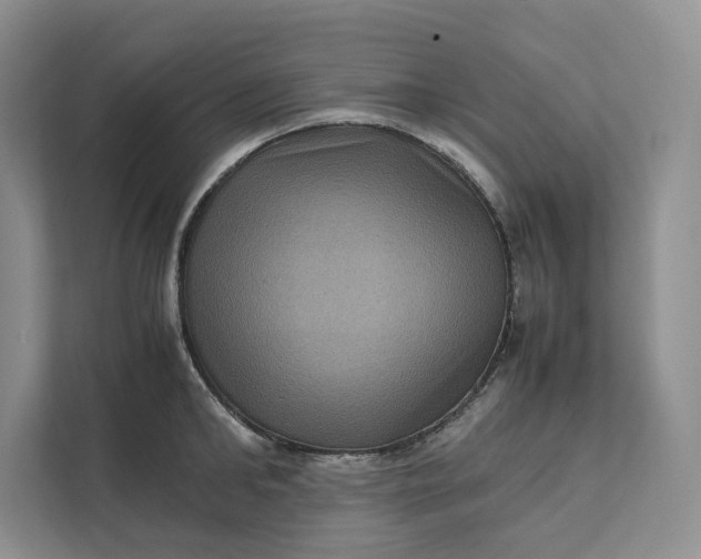 X0000111810902200908061113