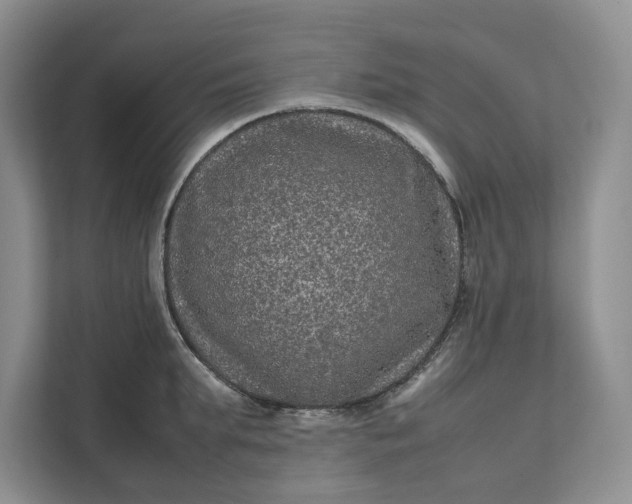 X0000111810903200908061113