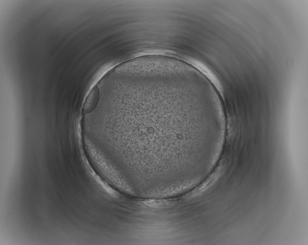 X0000111810906200908061113