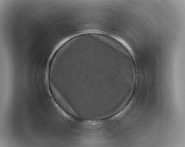 X0000111810910200908061113