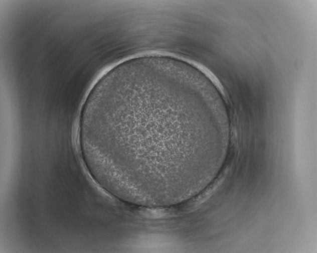 X0000111810911200908061113