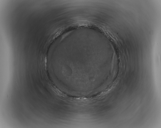 X0000111810916200908061112