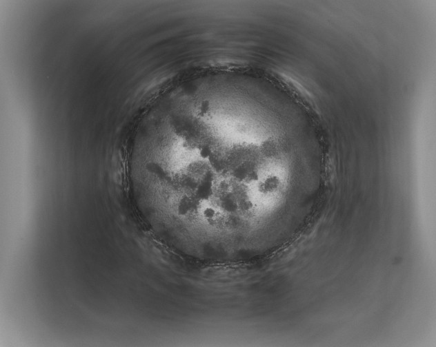 X0000111810917200908061112