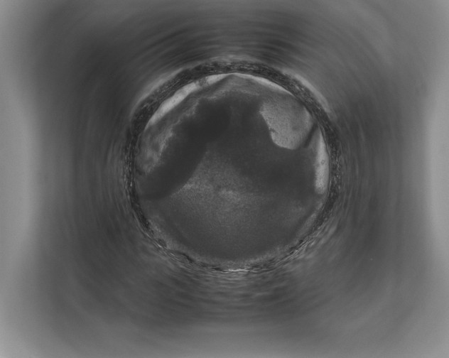 X0000111810919200908061112
