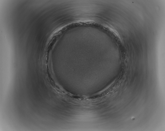 X0000111810920200908061112