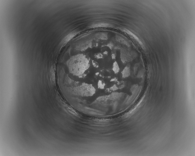 X0000111810921200908061112