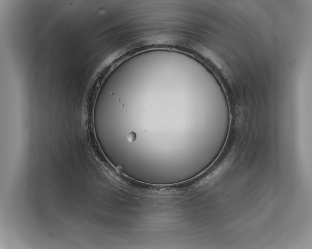 X0000111810922200908061112