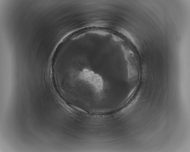 X0000111810923200908061112