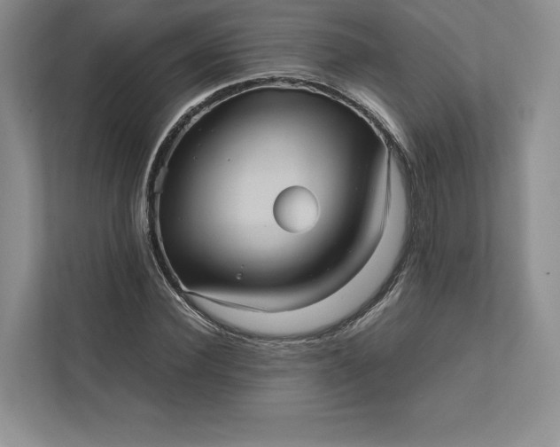 X0000111810924200908061112