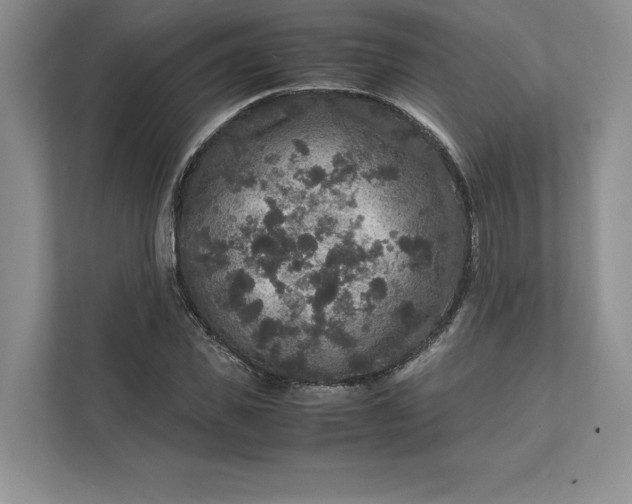 X0000111810925200908061112