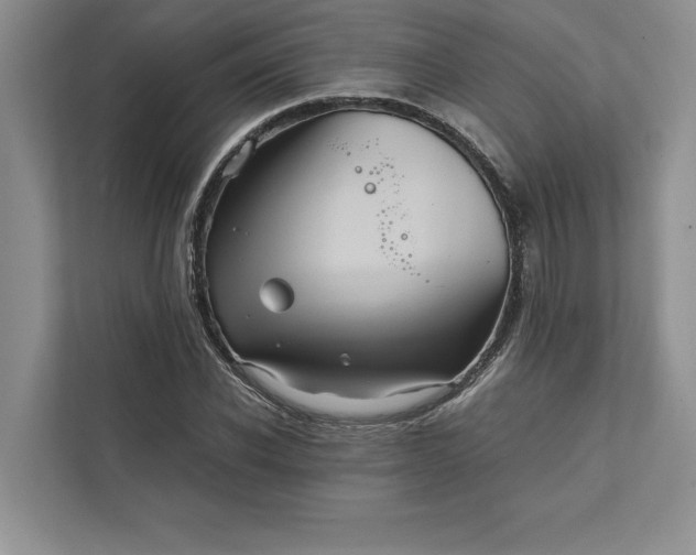 X0000111810926200908061112