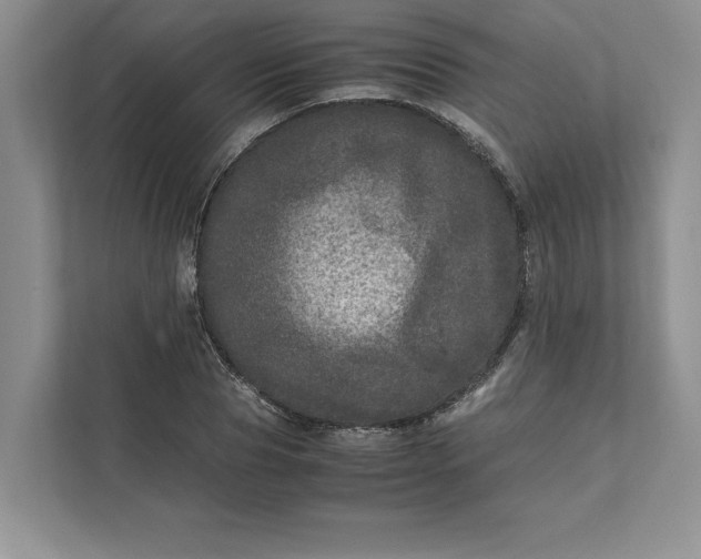 X0000111810929200908061112