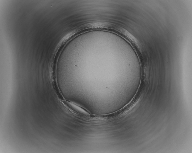 X0000111810930200908061112