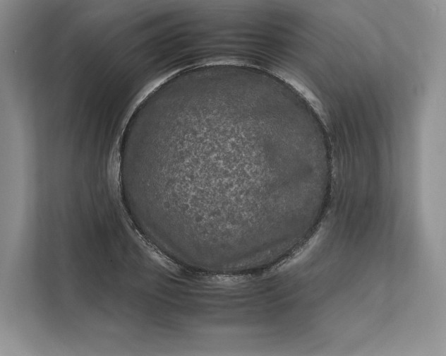X0000111810933200908061112