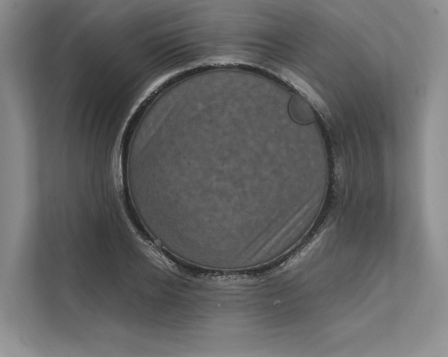 X0000111810934200908061112