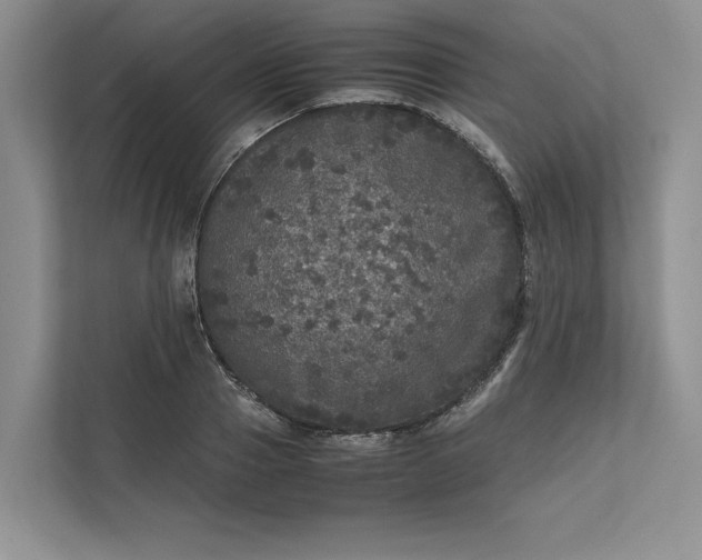X0000111810937200908061112