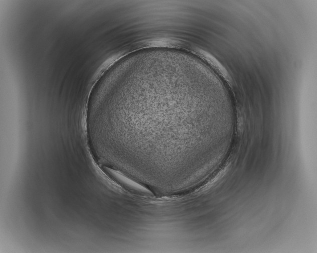 X0000111810938200908061112
