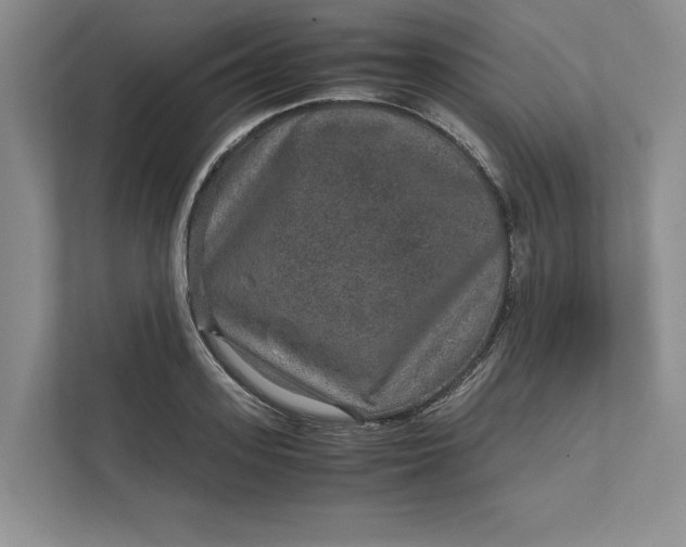 X0000111810939200908061112
