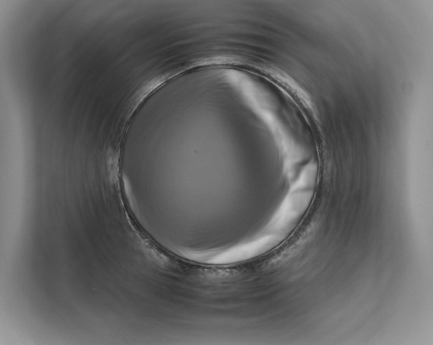 X0000111810945200908061112