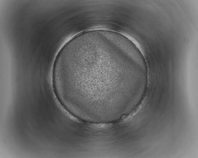 X0000111810949200908061112