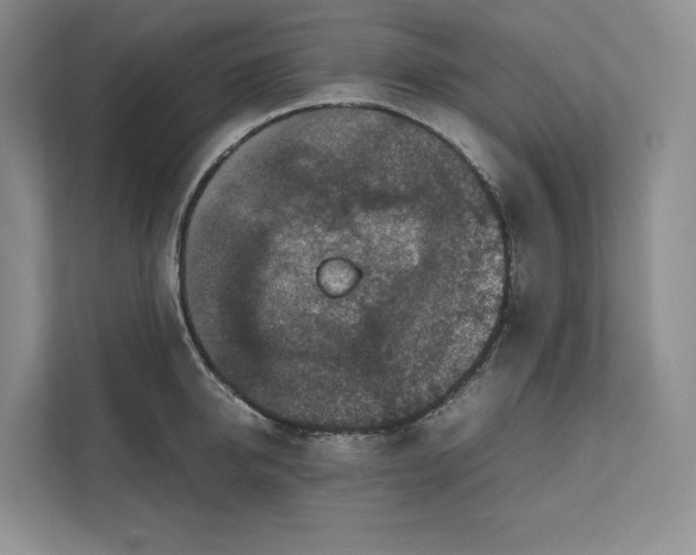 X0000111810950200908061112