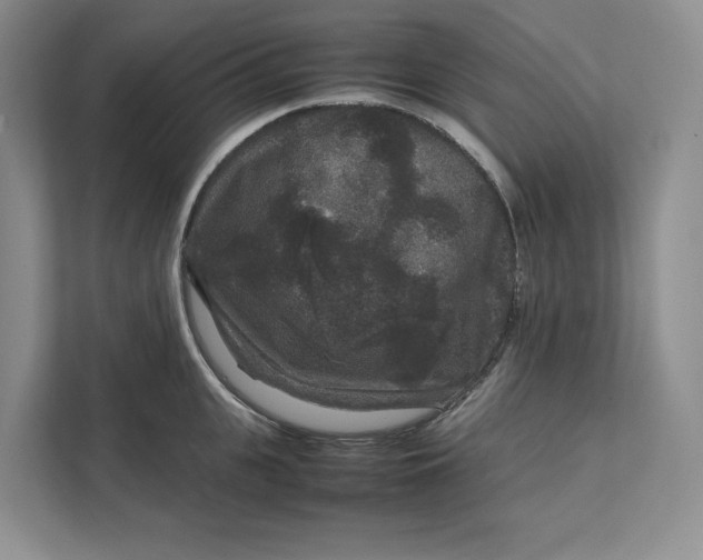 X0000111810951200908061113